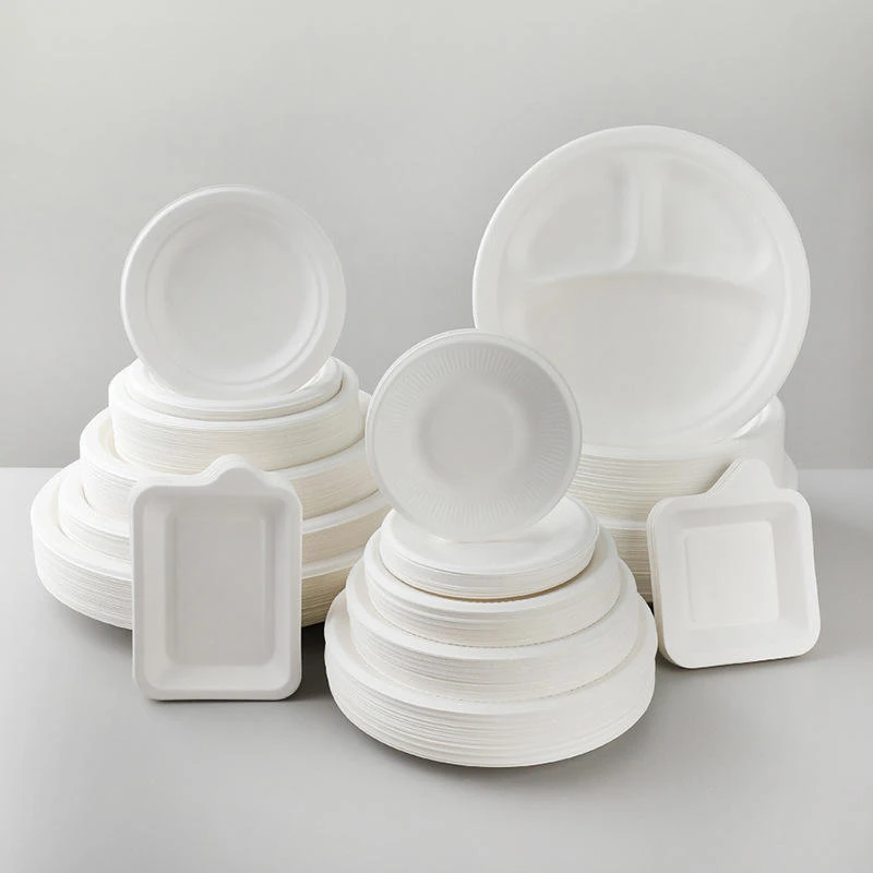 Disposable Sugarcane Pulp Bagasse Plate high quality
